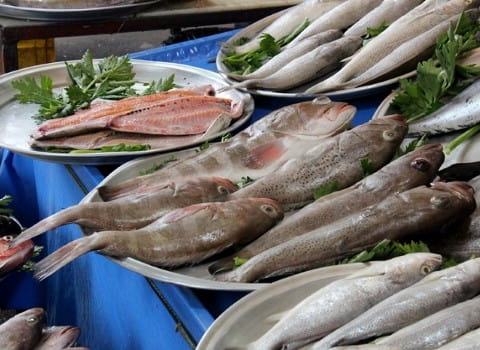 https://shp.aradbranding.com/فروش ماهی شمال ایران + قیمت خرید به صرفه